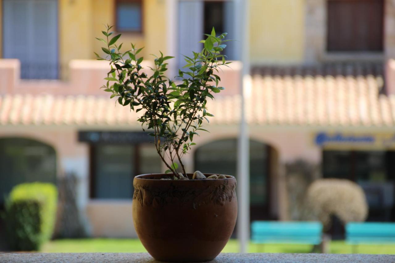 Appartamento Le Vele Porto San Paolo  Bagian luar foto